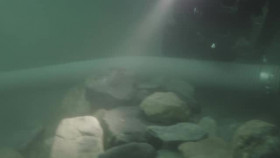 Bering Sea Gold S18E09 XviD-AFG EZTV