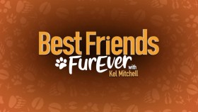 Best Friends FurEver with Kel Mitchell S01E09 WEB x264-LiGATE EZTV