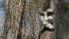 Big Brother Canada S12E26 720p HDTV x264-SYNCOPY EZTV