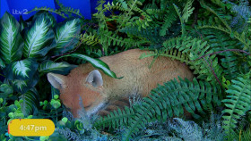 Big Brother UK S21E25 1080p HDTV H264-DARKFLiX EZTV