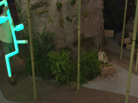 Big Brother US S26E10 480p x264-mSD EZTV