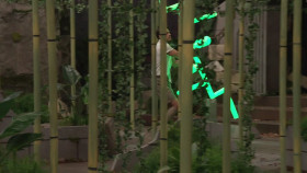 Big Brother US S26E10 720p HEVC x265-MeGusta EZTV