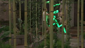 Big Brother US S26E10 REPACK 1080p HEVC x265-MeGusta EZTV