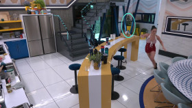 Big Brother US S26E17 1080p HEVC x265-MeGusta EZTV