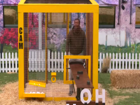 Big Brother US S26E22 480p x264-mSD EZTV