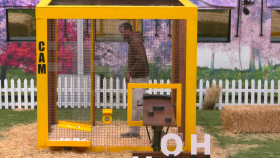 Big Brother US S26E22 720p AMZN WEB-DL DDP2 0 H 264-NTb EZTV