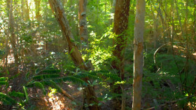 Big Little Journeys S01E03 1080p HDTV H264-DARKFLiX EZTV