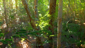 Big Little Journeys S01E03 XviD-AFG EZTV