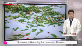 Biz Stream S04E18 Business Is Blooming for Unwanted Flowers 1080p HDTV H264-DARKFLiX EZTV