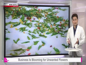 Biz Stream S04E18 Business Is Blooming for Unwanted Flowers 480p x264-mSD EZTV