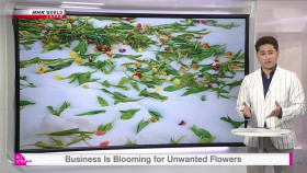 Biz Stream S04E18 Business Is Blooming for Unwanted Flowers 720p HDTV x264-DARKFLiX EZTV