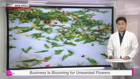 Biz Stream S04E18 Business Is Blooming for Unwanted Flowers XviD-AFG EZTV
