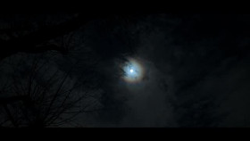 Black Doves S01E02 A Little Black Dove XviD-AFG EZTV