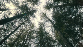 Blindspotting S02E01 1080p WEB H264-CAKES EZTV