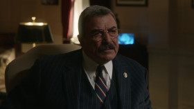 Blue Bloods S14E16 The Gray Areas 1080p HEVC x265-MeGusta EZTV