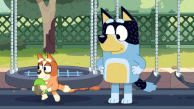 Bluey 2018 S03E30 Turtleboy 1080p DSNP WEB-DL DDP5 1 H 264-NTb EZTV