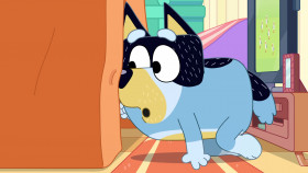Bluey 2018 S03E38 Cubby 1080p DSNP WEB-DL DDP5 1 H 264-NTb EZTV