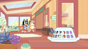Bluey 2018 S03E48 Ghostbasket 1080p DSNP WEB-DL DDP5 1 H 264-NTb EZTV
