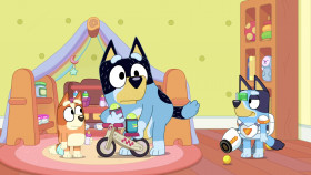 Bluey 2018 S03E50 Surprise 1080p DSNP WEB-DL DDP5 1 H 264-NTb EZTV