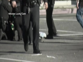 Body Cam On the Scene S04E05 480p x264-mSD EZTV