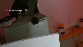 Body Cam S09E04 1080p WEB h264-FREQUENCY EZTV