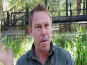 Bondi Vet S10E01 480p x264-mSD EZTV