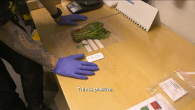 Border Control Sweden S01E01 XviD-AFG EZTV