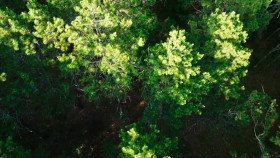 Born Evil The Serial Killer and the Savior S01E05 1080p HEVC x265-MeGusta EZTV