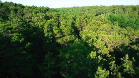 Born Evil The Serial Killer and the Savior S01E05 1080p WEB h264-EDITH EZTV