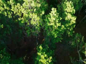 Born Evil The Serial Killer and the Savior S01E05 480p x264-mSD EZTV