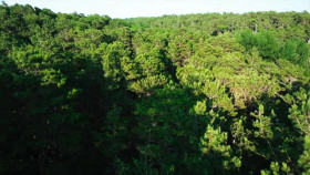 Born Evil The Serial Killer and the Savior S01E05 XviD-AFG EZTV