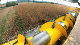 Born Mucky Life on The Farm S01 1080p WEBRip AAC2 0 x264-MIXED EZTV