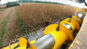 Born Mucky Life on The Farm S01 WEBRip AAC2 0 x264-MIXED EZTV