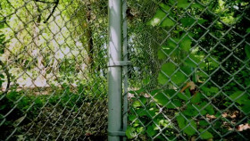 Born To Kill S07E06 XviD-AFG EZTV