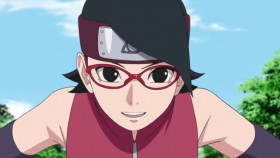 BORUTO NARUTO NEXT GENERATIONS S01E227 XviD-AFG EZTV