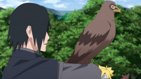 BORUTO NARUTO NEXT GENERATIONS S01E275 1080p HEVC x265-MeGusta EZTV