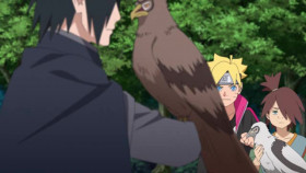 BORUTO NARUTO NEXT GENERATIONS S01E275 XviD-AFG EZTV