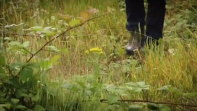 Britains Ancient Tracks With Tony Robinson 3of3 North Downs Way 720p HDTV x264 AAC mp4 EZTV