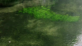 Britains Beautiful Rivers with Richard Hammond S01E02 720p WEB h264-WEBTUBE EZTV