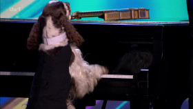 Britains Got Talent S16E04 1080p HEVC x265-MeGusta EZTV