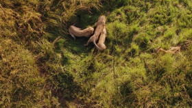 Brotherhood Of Lions S01E03 1080p WEB H264-CBFM EZTV