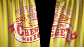 Buck Denver Asks Whats in the Bible S01E02 Who Wrote the Bible 720p AMZN WEB-DL DDP2 0 H 264-Kitsune EZTV