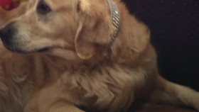 Buckhead Shore S01E04 720p WEB h264-BAE EZTV