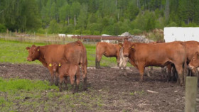 Building Cars Secrets of the Assembly Line S01E02 XviD-AFG EZTV