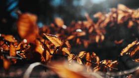 Building Off the Grid S13E09 1080p HEVC x265-MeGusta EZTV