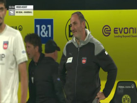 Bundesliga 2023 09 01 Dortmund Vs Heidenheim 480p x264-mSD EZTV
