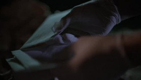 Calls From The Inside S02E08 XviD-AFG EZTV