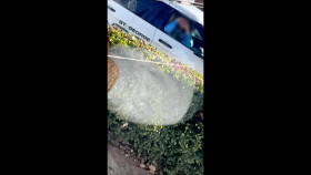 Caught 2023 S02E19 1080p HEVC x265-MeGusta EZTV