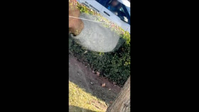 Caught 2023 S02E19 1080p WEB h264-FREQUENCY EZTV