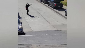 Caught On Dashcam S05E05 XviD-AFG EZTV